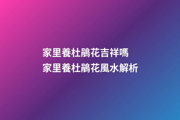 家里養杜鵑花吉祥嗎 家里養杜鵑花風水解析